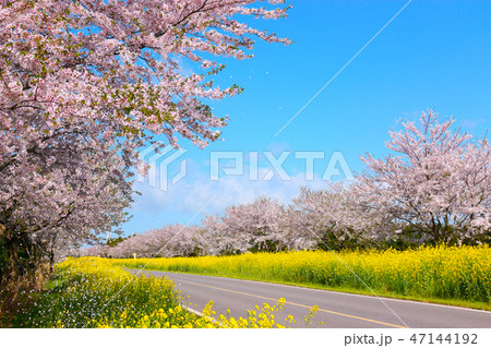 風景 観光 風 47144192