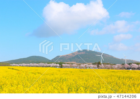 風景 観光 風 47144206