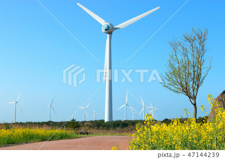 風景 観光 風 47144239