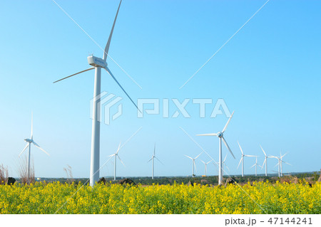 風景 観光 風 47144241