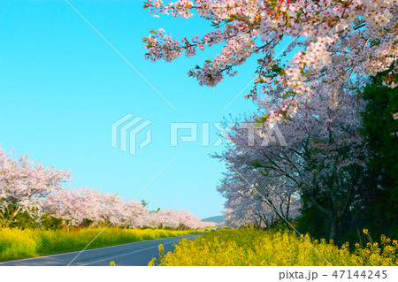 風景 観光 風 47144245