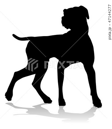 Dog Silhouette Pet Animal Dog Silhouette Pet Animal 47144277
