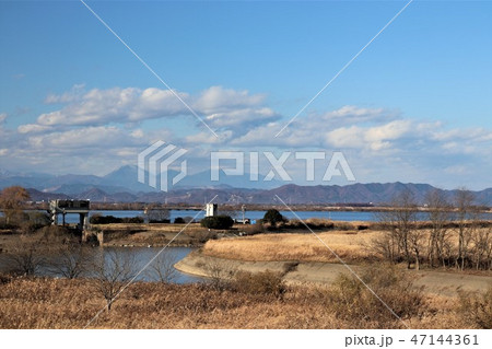 冬の渡良瀬遊水地 47144361