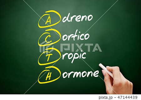 ACTH - Adrenocorticotropic hormone acronym 47144439