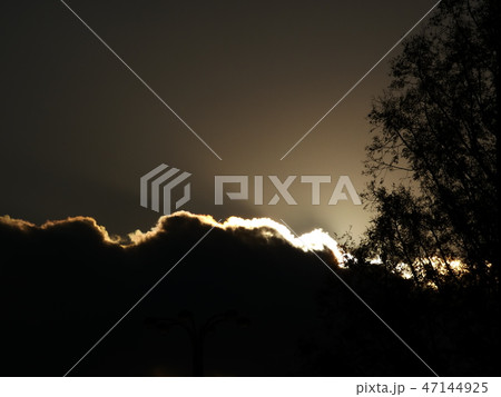 雲と木と夕闇と 47144925