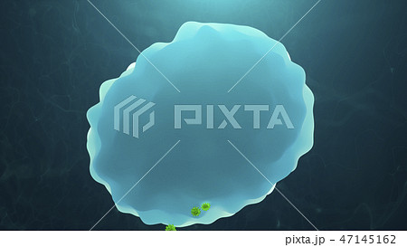 Virus Attack On A Lymphocyte ( White Blood Cell ) 47145162