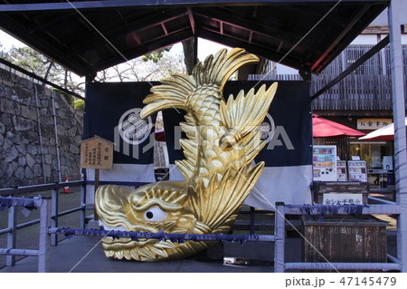 金のしゃちほこ　名古屋城 47145479