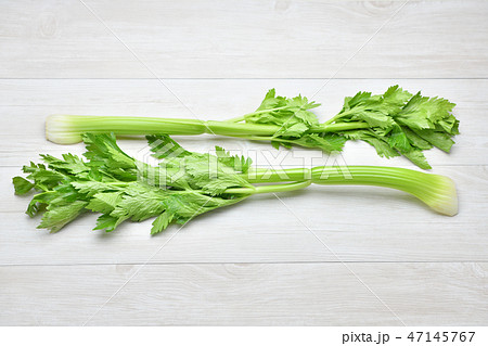注意)セロリの根元に傷みを消したレタッチ痕が残ります。野菜食材のセロリのイメージ。 注意)セロリの根元に傷みを消したレタッチ痕が残ります。野菜食材のセロリのイメージ。 47145767