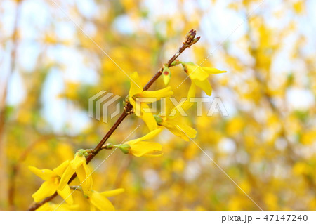 風景 観光 風 47147240