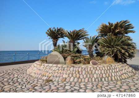 袖ケ浦海浜公園 袖ケ浦海浜公園 47147860