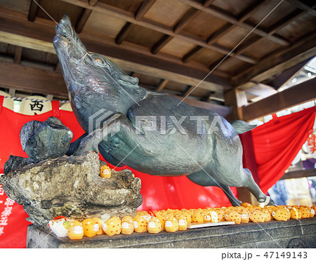 禅居庵 摩利支尊天堂にある猪の像 47149143