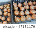 玉ねぎ 47151179