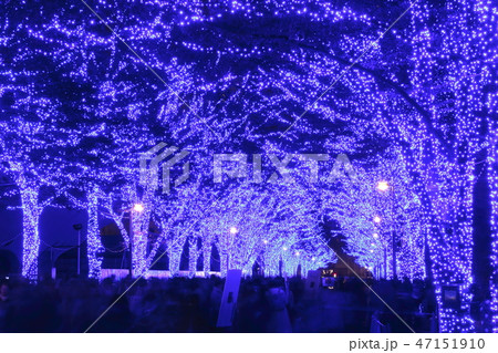 青の洞窟 SHIBUYA にて 青の洞窟 SHIBUYA にて 47151910