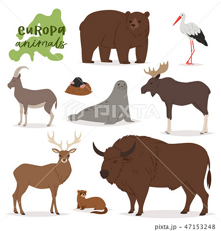 Animal vector animalistic character in forest bear deer elk of Europe wildlife illustration set of Animal vector animalistic character in forest bear deer elk of Europe wildlife illustration set of 47153248