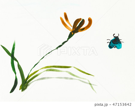 bug and iris flower are hand drawn on creamy paper 47153642