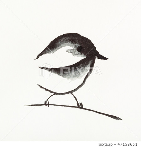 sparrow bird on twig is hand drawn on creamy paper sparrow bird on twig is hand drawn on creamy paper 47153651