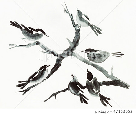 birds on tree are hand drawn on creamy paper birds on tree are hand drawn on creamy paper 47153652