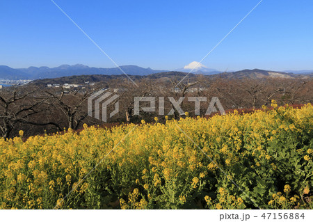 吾妻山公園 吾妻山公園 47156884