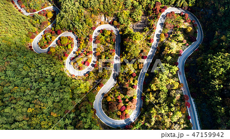 ボバル再 紅葉 ドローン 47159942