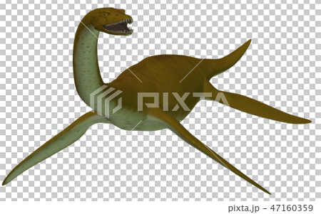 フタバサウルス 47160359