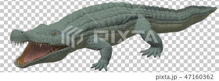 迪諾斯箱 迪諾斯箱 47160362