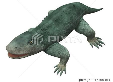 エリオプス 47160363