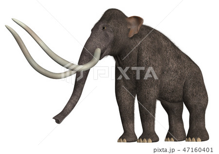 マンモス 47160401