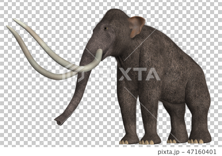 マンモス 47160401