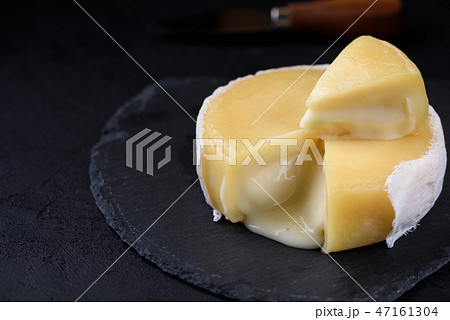47161304