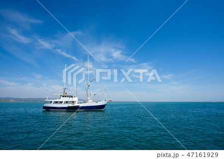 47161929