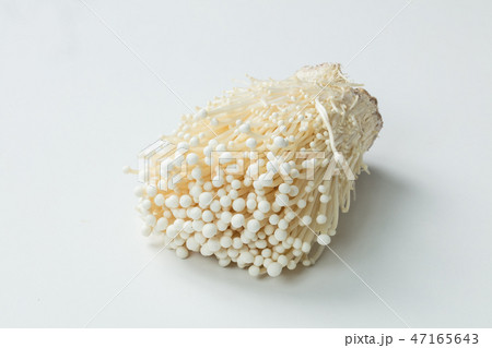 白背景にエノキ茸の単体 47165643