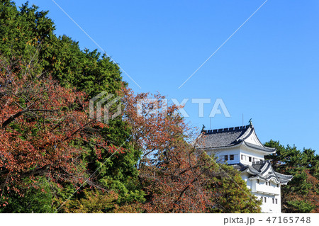 名古屋城 西南隅櫓 名古屋城 西南隅櫓 47165748