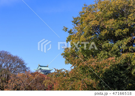 晩秋の名古屋城天守閣 晩秋の名古屋城天守閣 47166518