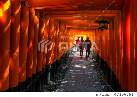 伏見稲荷の千本鳥居 47166661