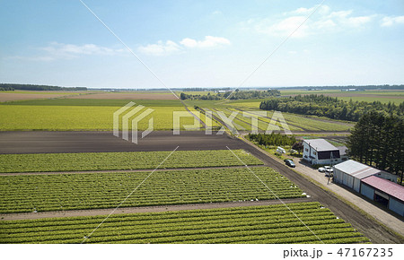 北海道　自然風景 47167235