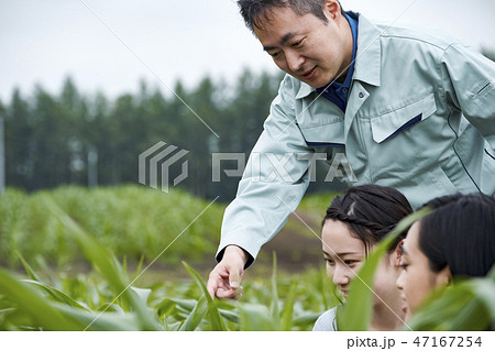 女性　農場見学 47167254