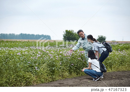 高校生　通学風景 47167323