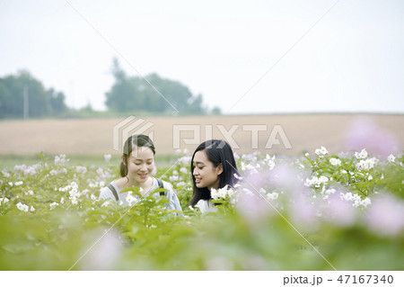 女性　北海道　花畑 47167340