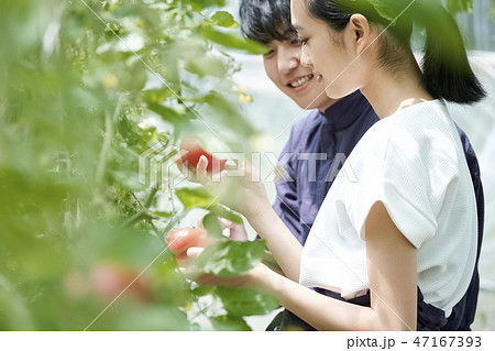 男女 農業 ハウス栽培 男女 農業 ハウス栽培 47167393