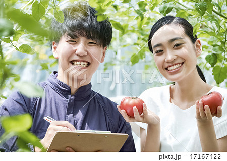 男女　農業　ハウス栽培 47167422