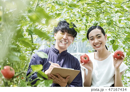 男女　農業　ハウス栽培 47167434