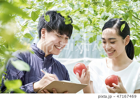 男女　農業　ハウス栽培 47167469