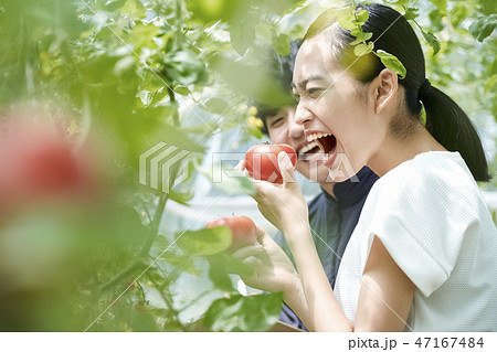 男女　農業　ハウス栽培 47167484