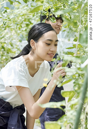 男女 農業 ハウス栽培 男女 農業 ハウス栽培 47167510