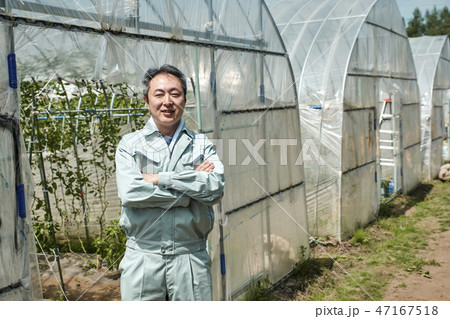 男性 農業 ハウス栽培 男性 農業 ハウス栽培 47167518