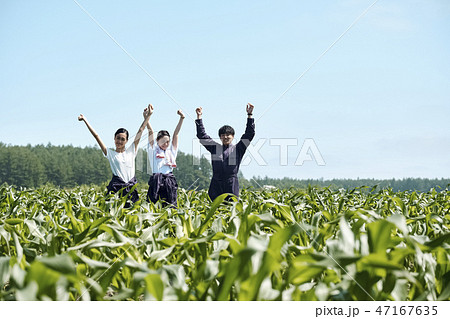 男女　農業 47167635