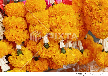 flowers garland in market 47168239