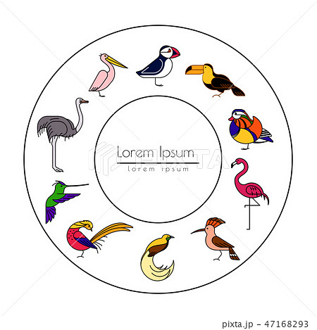 Birds are different species 47168293