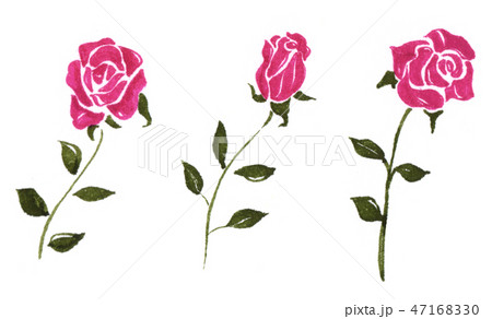 薔薇のイラスト ピンク色のイラスト素材