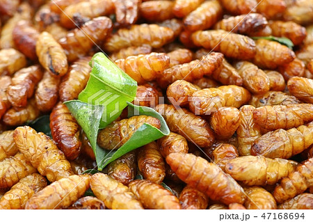 Fried insect at street food Fried insect at street food 47168694